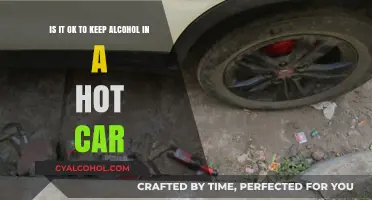 Hot Cars and Alcohol: A Safe Mix?
