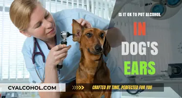 Alcohol in Dog's Ears: Safe or Not?