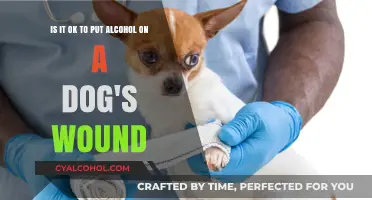 Treating Dog Wounds: Alcohol Safe or Not?