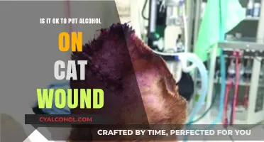 Alcohol on Cat Wounds: Safe or Not?