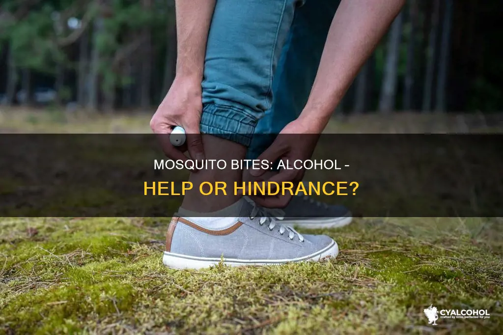 is it ok to put alcohol on mosquito bites
