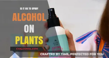 Spraying Alcohol on Plants: Safe Practice or Harmful Habit?