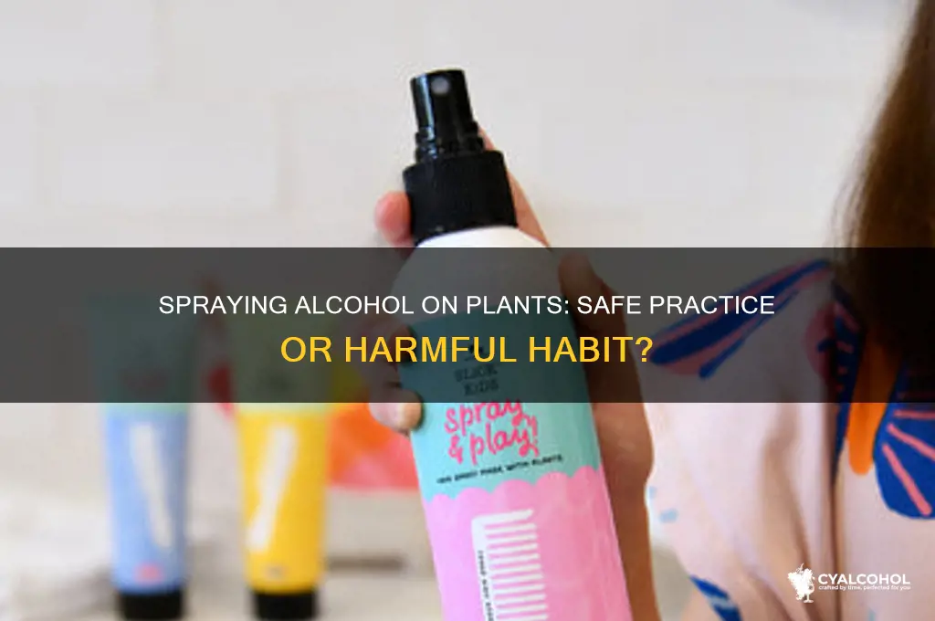 is it ok to spray alcohol on plants