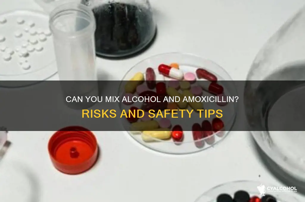 is it okay to have alcohol with amoxicillin