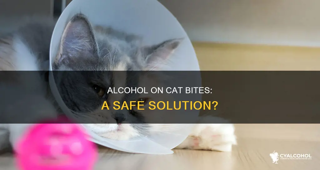 is it okay to put alcohol on cat bite