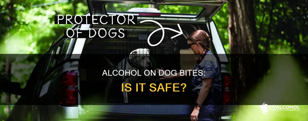 is it okay to put alcohol on dog bite