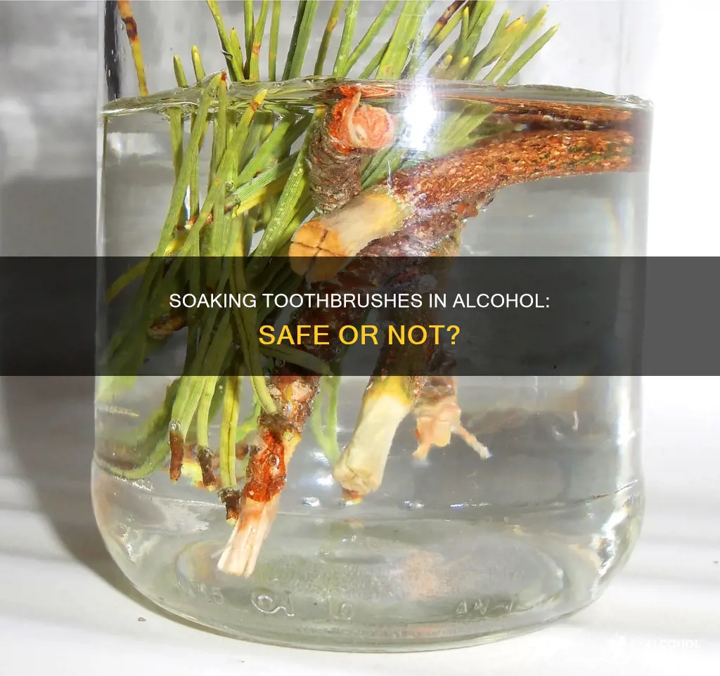 is it okay to soak a toothbrush in alcohol