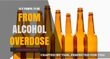 Alcohol Overdose: Understanding the Painful Reality of Fatal Consumption