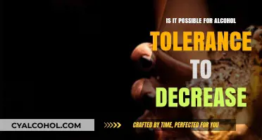 Can Alcohol Tolerance Decrease Over Time? Exploring the Possibility