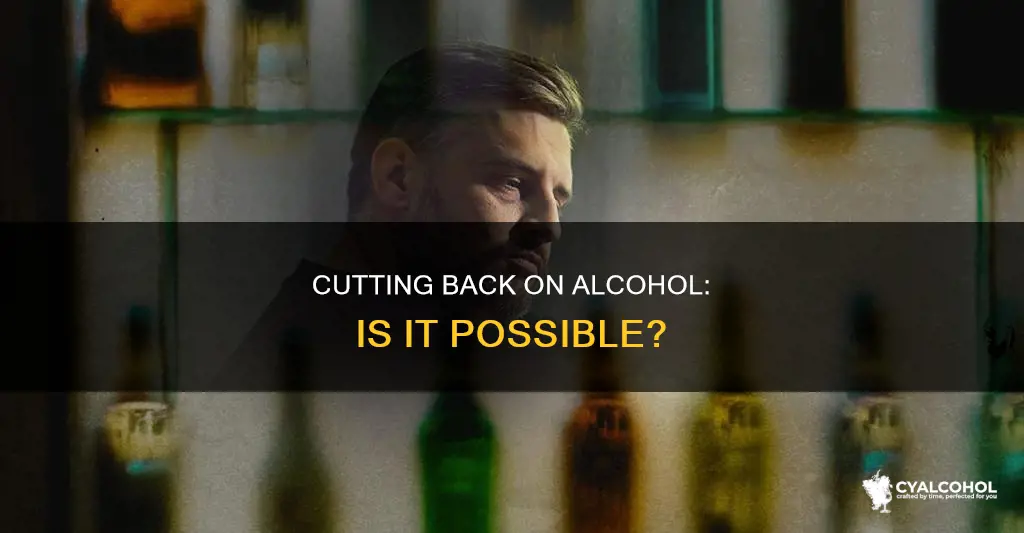 is it possible for an alcoholic to cut back