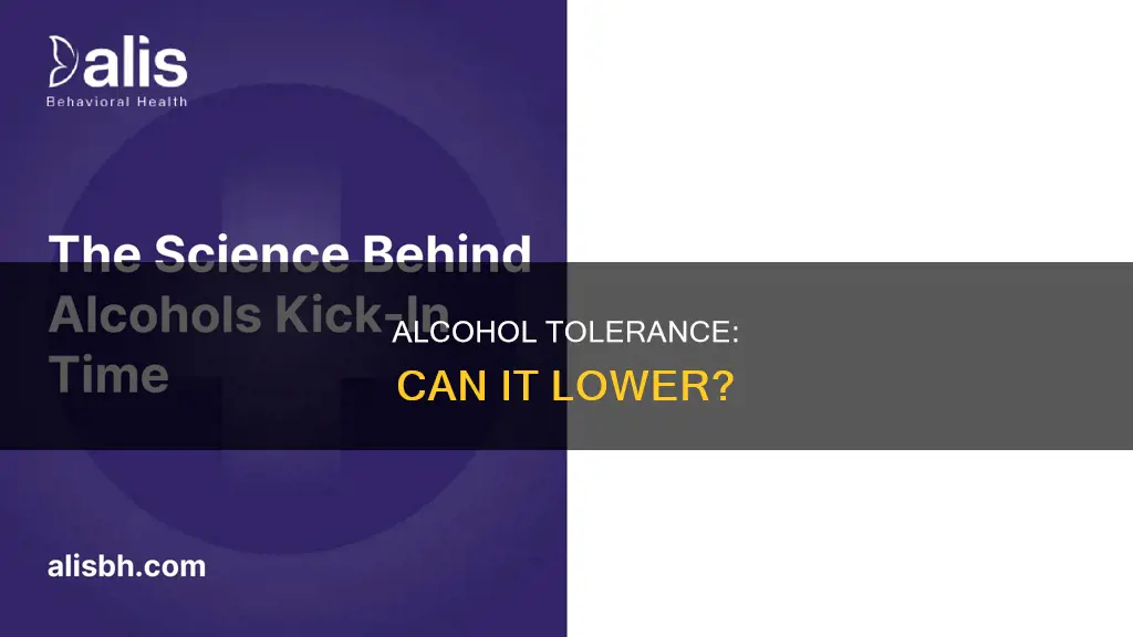 is it possible for your alcohol tolerance to go down