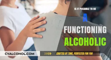 Functioning Alcoholic: Myth or Reality? Unveiling the Truth Behind the Label