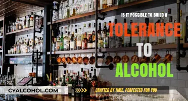 Alcohol Tolerance: Is It Possible to Build Up Immunity?