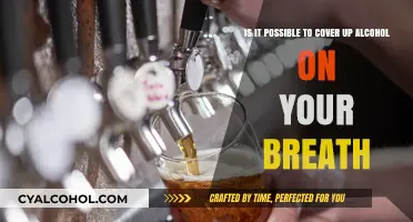 How to Hide Alcohol Breath: Tips and Tricks