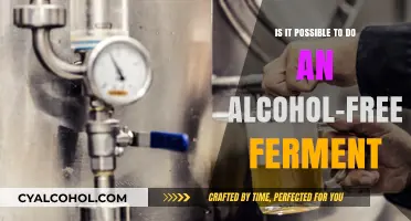 Fermentation Without Alcohol: A Myth or Reality?