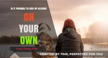 How to Quit Alcohol Without Rehab