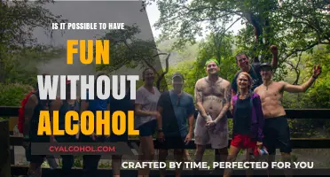 Sober Adventures: Discovering Joy Beyond the Bottle