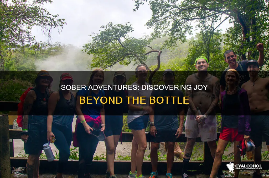 is it possible to have fun without alcohol