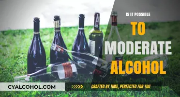 Moderating Alcohol: Balancing Enjoyment and Health Responsibly