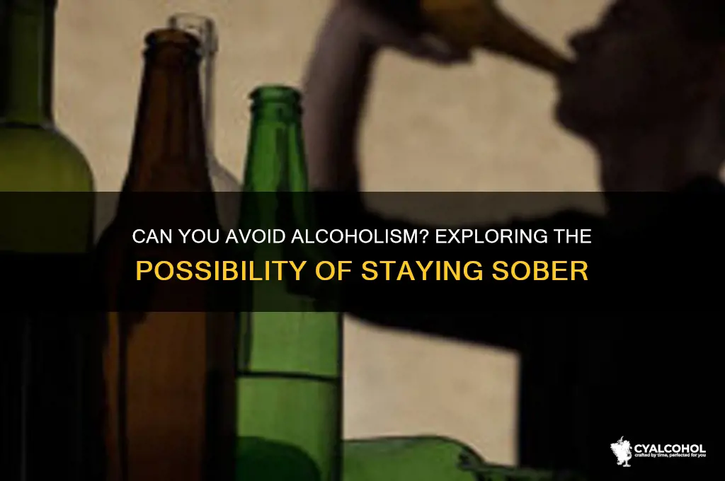 is it possible to not be an alcoholic