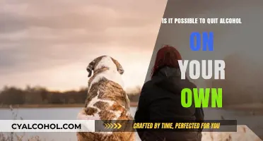 How to Quit Alcohol: Alone or With Support?