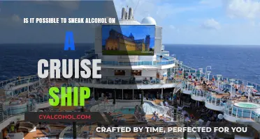 Sneaking Alcohol on a Cruise: Possible or Myth?