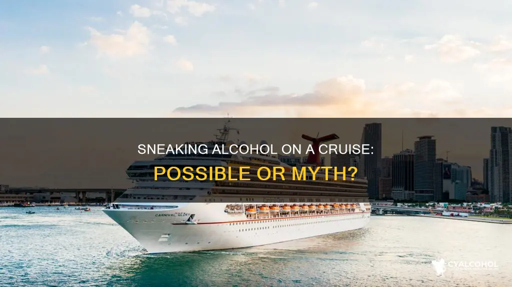 is it possible to sneak alcohol on a cruise ship