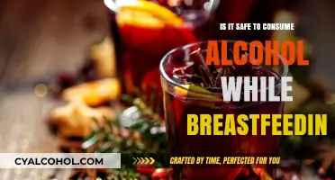 Breastfeeding and Alcohol: Understanding Safety for Mom and Baby
