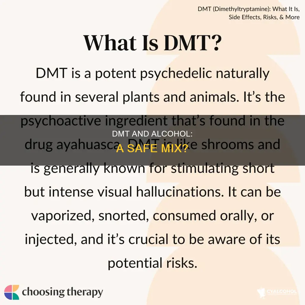 is it safe to do dmt while on alcohol