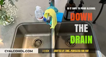Alcohol Down the Drain: Safe or Not?