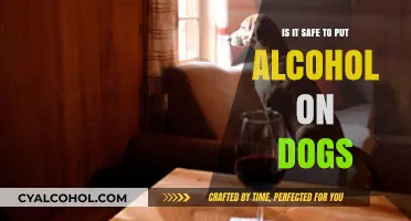 Is Alcohol Safe for Dogs? Risks and Precautions Explained