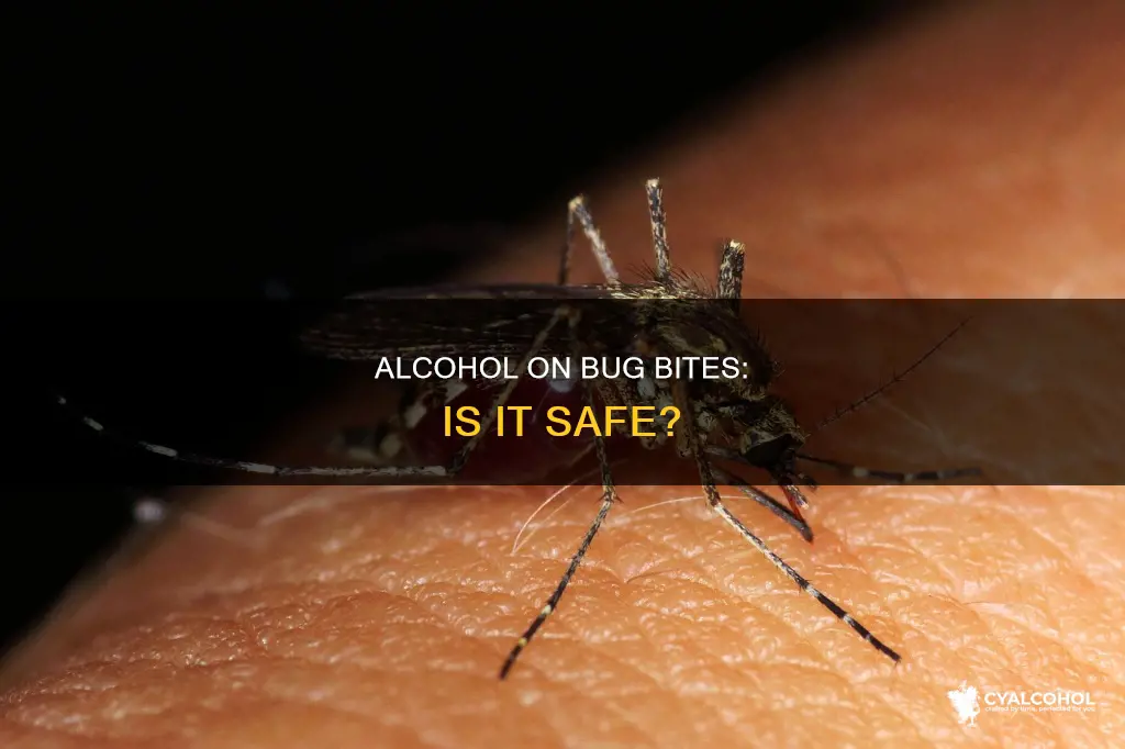 is it safe to put alcohol on mysterious bug bite