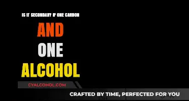 Carbon and Alcohol Combination: Secondary or Not?