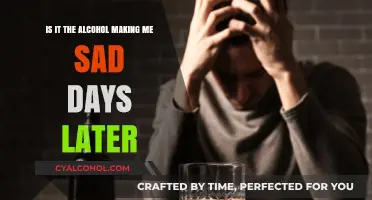 Alcohol's Delayed Effect: Why the Sadness?