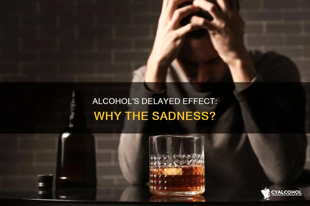 is it the alcohol making me sad days later