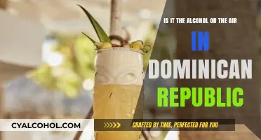 The Dominican Republic: Alcohol, Air, and Cheer