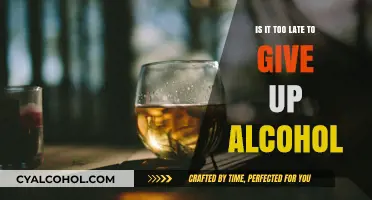 Is It Ever Too Late to Quit Alcohol? A Hopeful Guide
