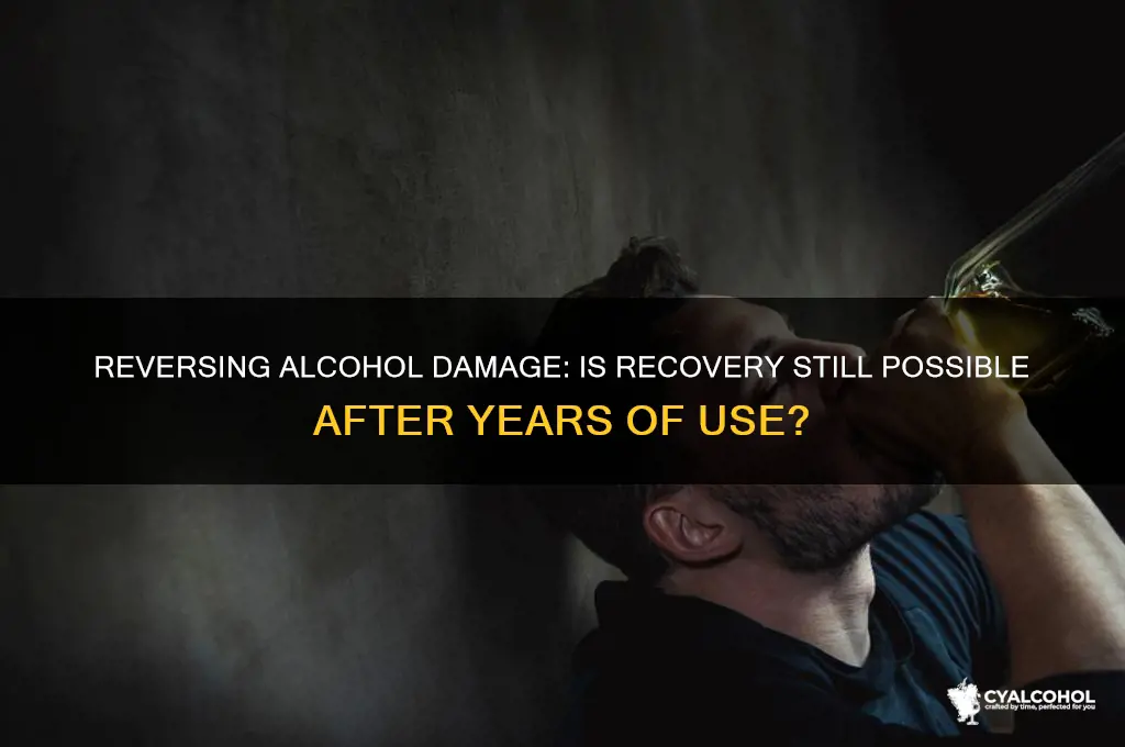 is it too late to reverse alcohol damage