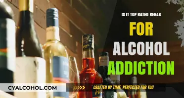 Top-Rated Alcohol Addiction Rehab: What Makes It the Best Choice?