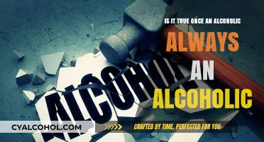 Alcoholism: A Permanent Label or a Chance for Change?