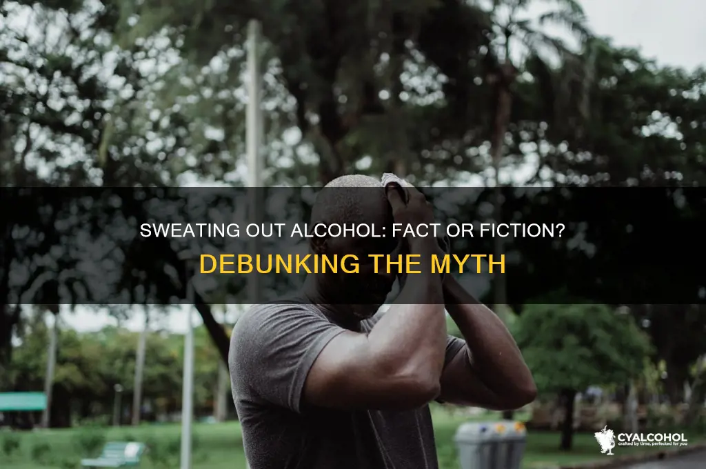 is it true sweat out alcohol