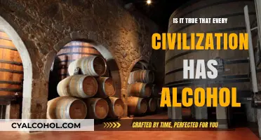 Exploring the Universal Presence of Alcohol in Human Civilizations