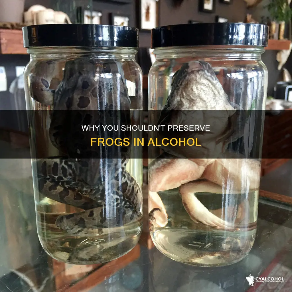 is it unsafe to keep frogs in jars of alcohol