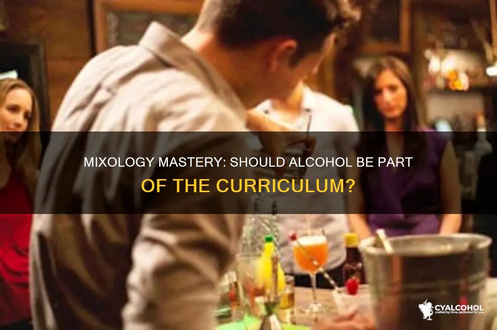 is it wise to teacher an alcohol mixology