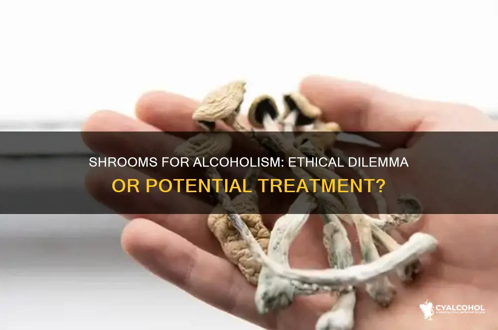 is it wrong to give shrooms to alcoholic