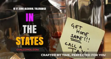 Zero Tolerance for Alcohol: Understanding State Laws and Penalties