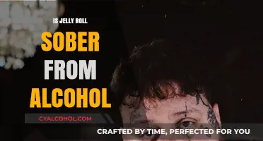 Is Jelly Roll Sober? Uncovering His Journey with Alcohol