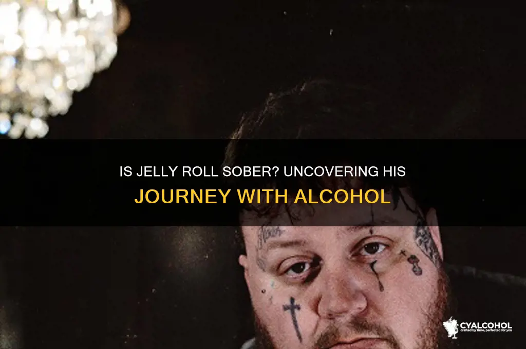 is jelly roll sober from alcohol