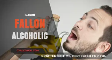 Jimmy Fallon's Alcohol Use: Separating Fact from Speculation and Rumors