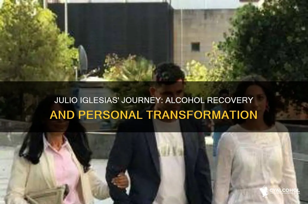 is julio iglesias in alcohol recovery